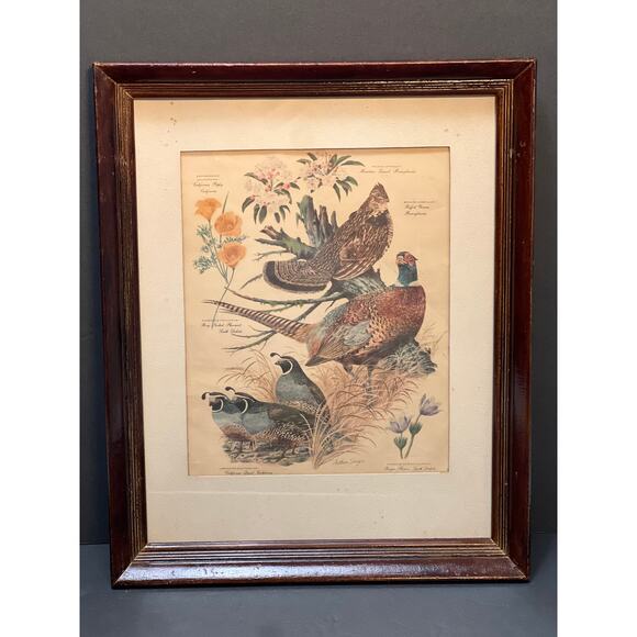 Vtg Pheasant Lithograph Print Arthur Singer Flora Fauna 14x16 Framed Botanical - Picture 4 of 9